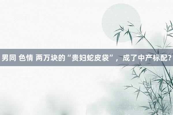 男同 色情 两万块的“贵妇蛇皮袋”，成了中产标配？